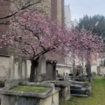 Le cimetière d'Auteuil et le cimetière ancien de Boulogne-Billancourt : de Charles Gounod à C. Jérôme ! (Places très limitées : réservation obligatoire via la rubrique "Contact"). COMPLET.