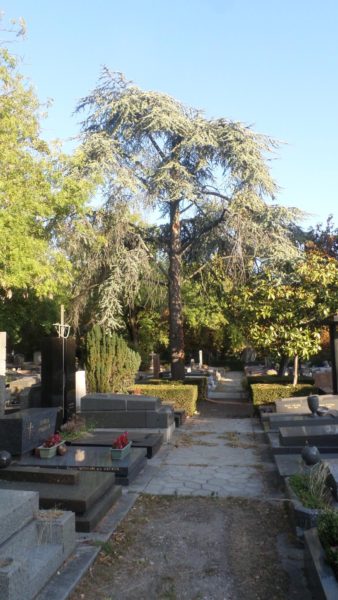 Pour la Toussaint : Tombes célèbres du Père-Lachaise, de Balzac et Chopin à Piaf et Jim Morrison !  (Sans réservation).